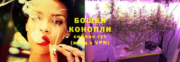 тгк Бронницы